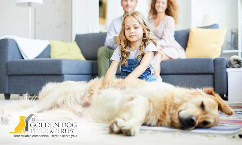 Girl rubbing dog on the floor
