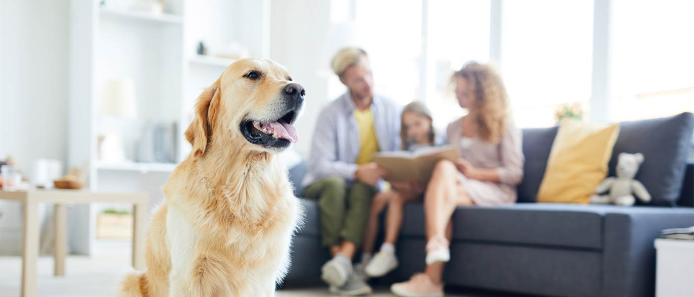 Dog and family